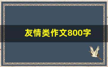 友情类作文800字 初中记叙文_初中友情作文600叙事